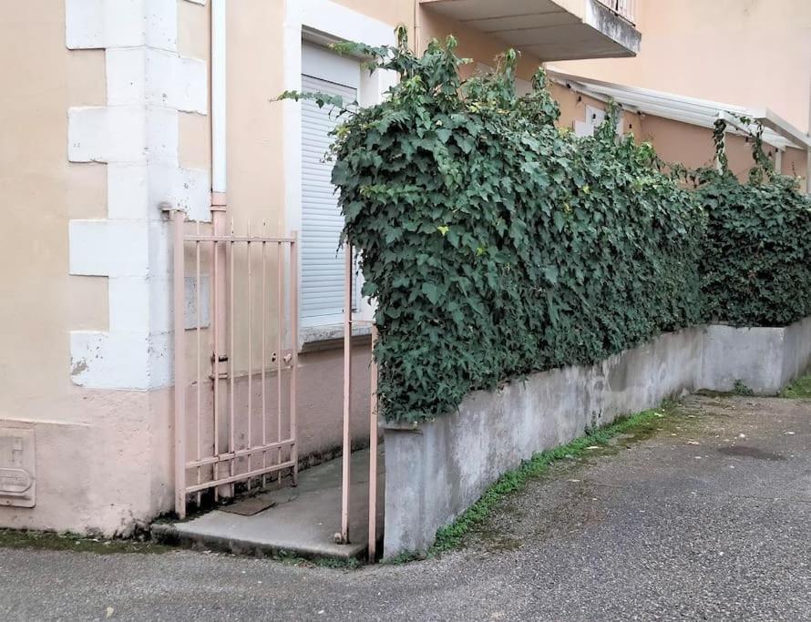 Le Cocon Zen Διαμέρισμα Voiron Εξωτερικό φωτογραφία